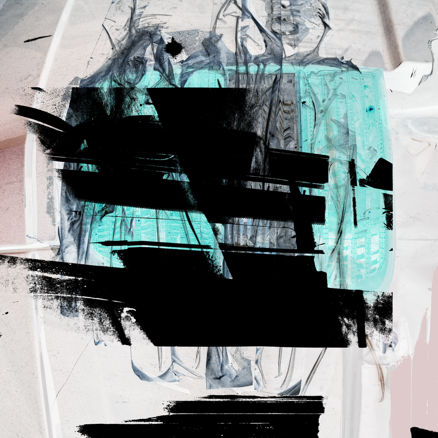 Ártic 5_14062021_018